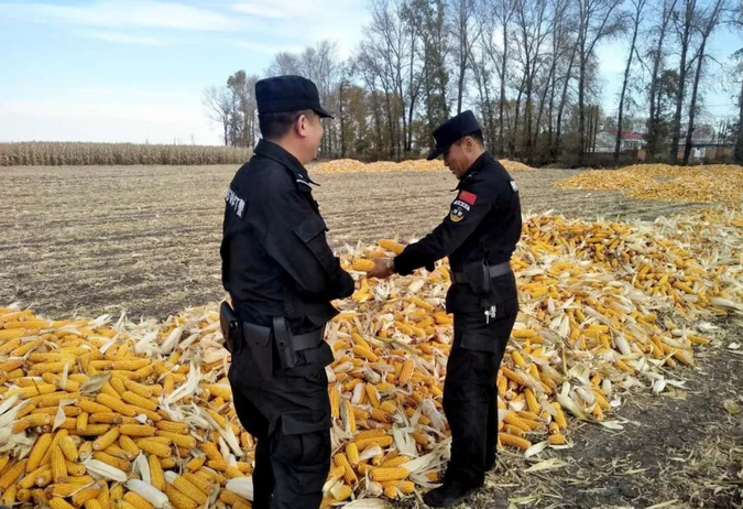 禁燒秸稈走田間、共鑄警魂保藍(lán)天