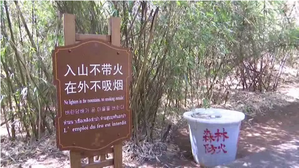 贊！雞足山景區(qū)連續(xù)35年無森林火災(zāi)，因為他們...