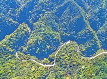 智能化，讓森林防火監(jiān)控管護(hù)更“智慧”