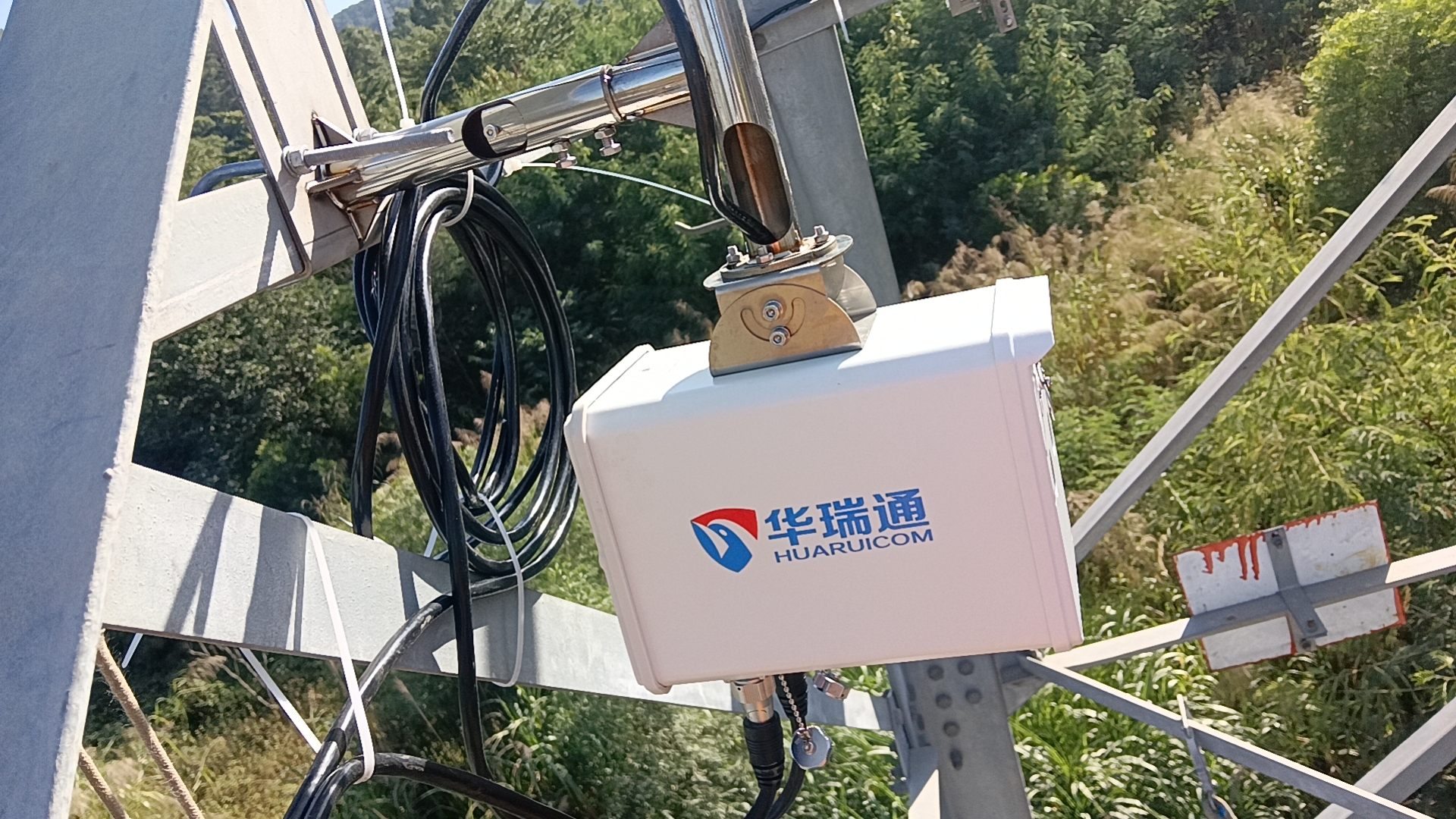 林區(qū)輸配電走廊：智能防火監(jiān)控與植被管理系統(tǒng)構建